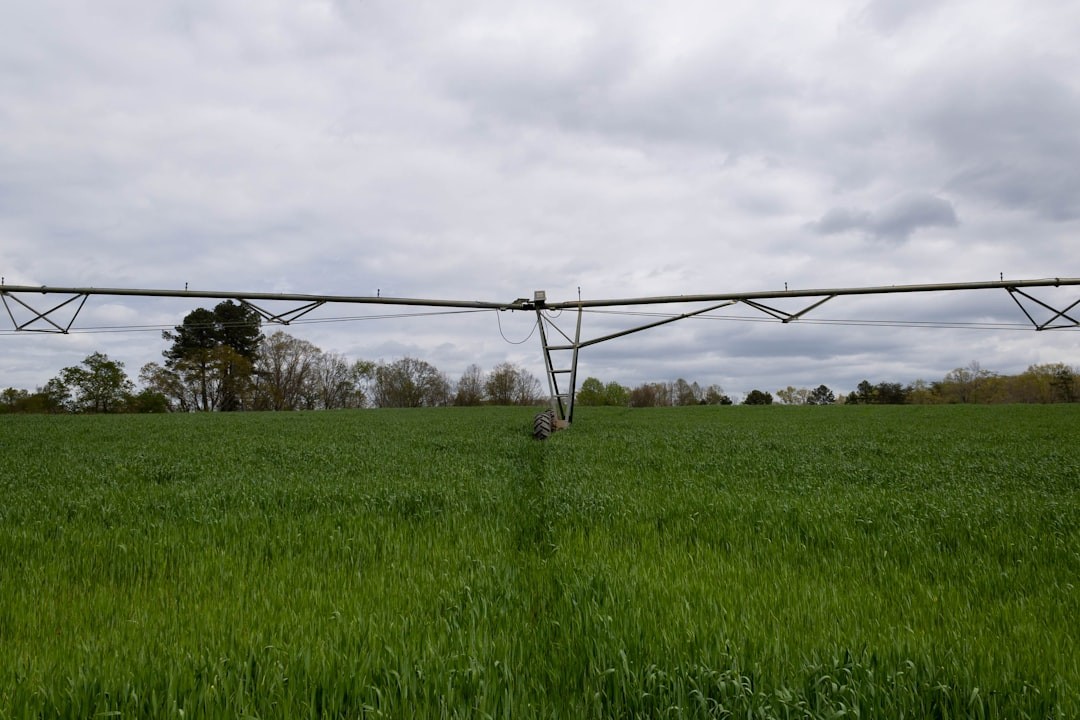 a power line in a field of green grass